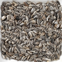 Семена полосатого подсолнечника Deli Nature Striped Sunflower seed - 2,5 кг Семена полосатого подсолнечника Deli Nature Striped Sunflower seed - 2,5 кг