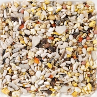 Корм для крупных попугаев с фруктами Deli Nature 64 Parrots Supreme Fruit - 15 кг Корм для крупных попугаев с фруктами Deli Nature 64 Parrots Supreme Fruit - 15 кг